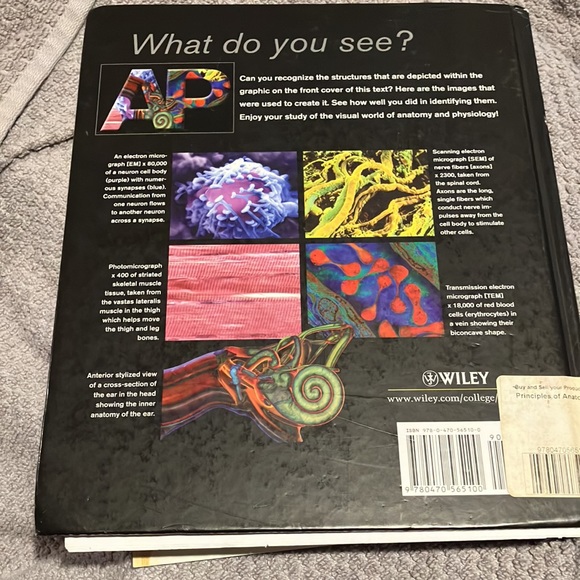 A&P principles of anatomy and physiology textbook - Picture 8 of 9